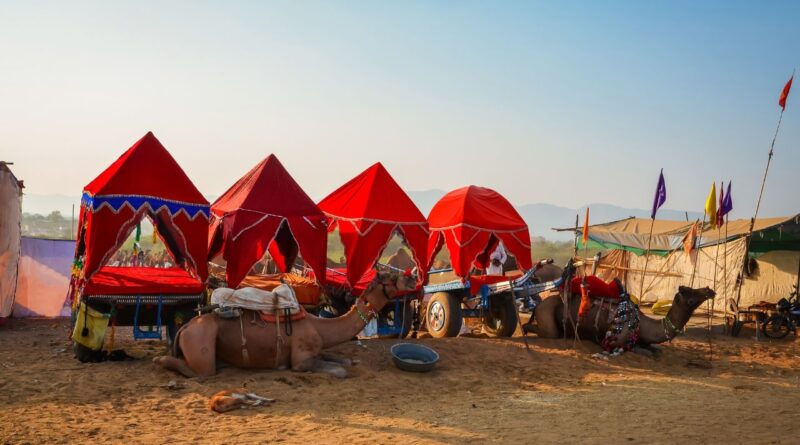 Golden Triangle Tour With Pushkar