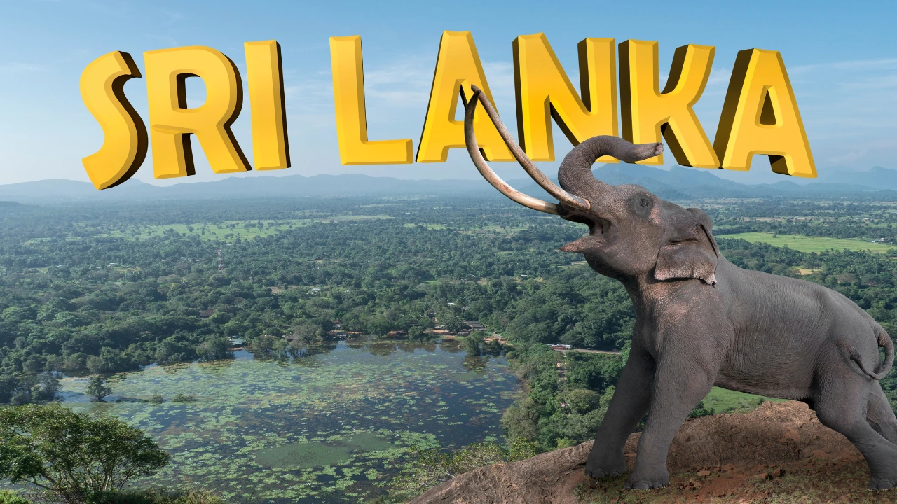 THE TOP 10 Sri Lanka Tours & Excursions in 2024