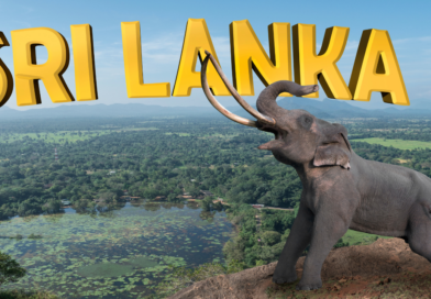 Top 10 Must-Visit Destinations In Sri Lanka