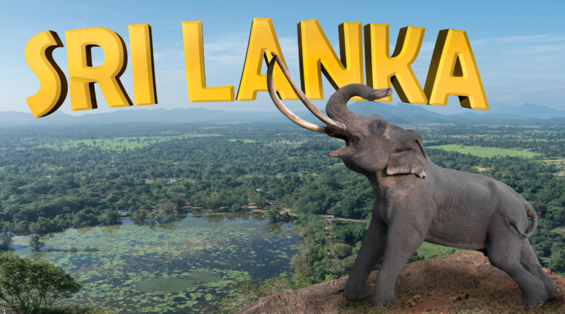 Top 10 Must-Visit Destinations In Sri Lanka